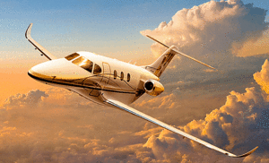 Week in brief May 20 2011